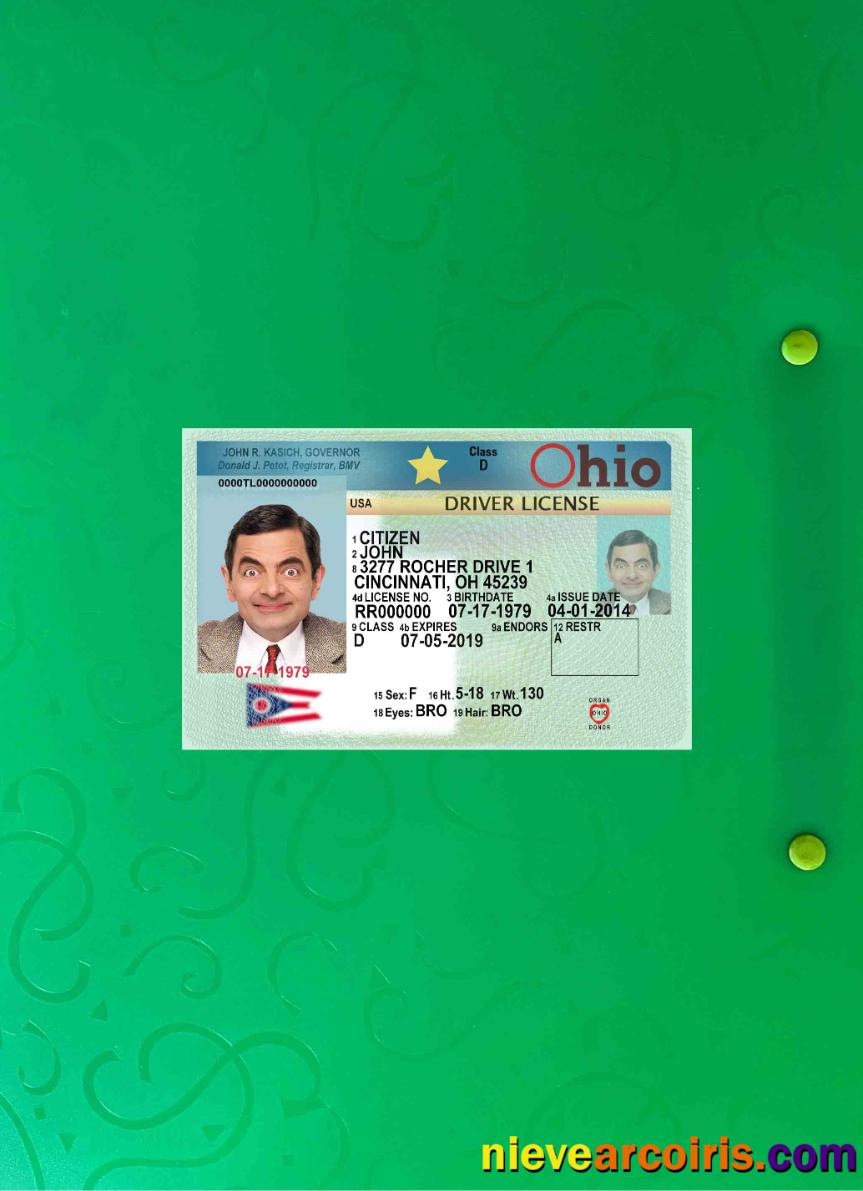 USA Ohio driving license 2018-present photolook